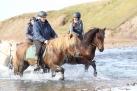 Islandreise 2021 - Pferdeabtrieb Vesturhop